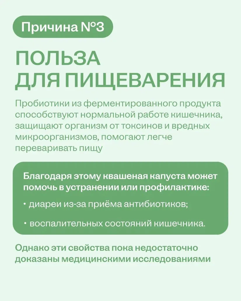 Квашеная капуста — это вау ✨  Не дайте котикам и собачкам с картинок себя обмануть: их кормить капус