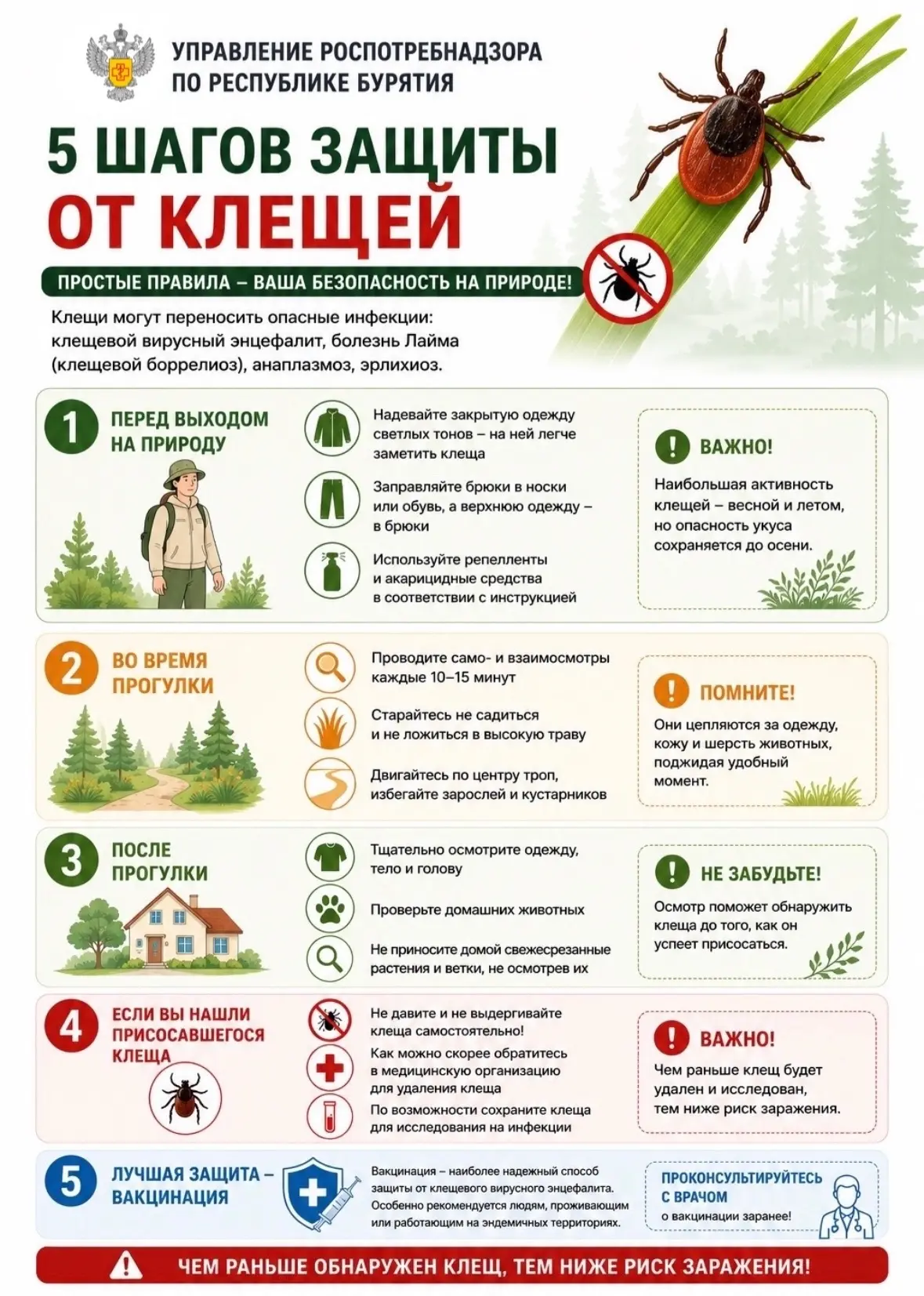 🕷 Клещи активны — будьте внимательны!

Клещи могут переносить опасные инфекции, включая клещевой эн