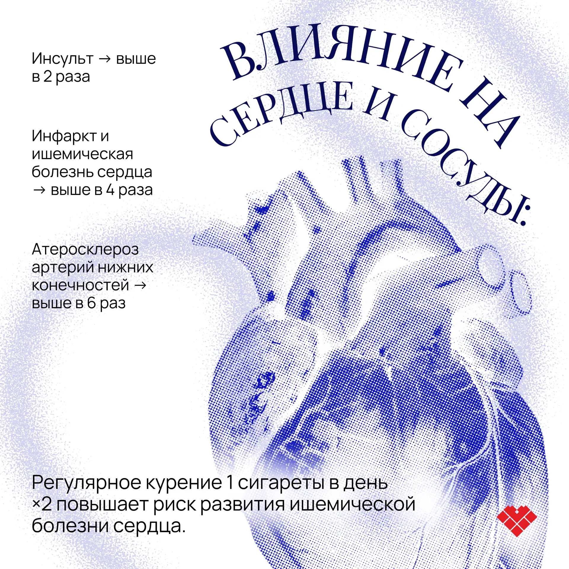 Почему бросить курить нужно прямо сейчас? (спойлер: никогда не поздно)