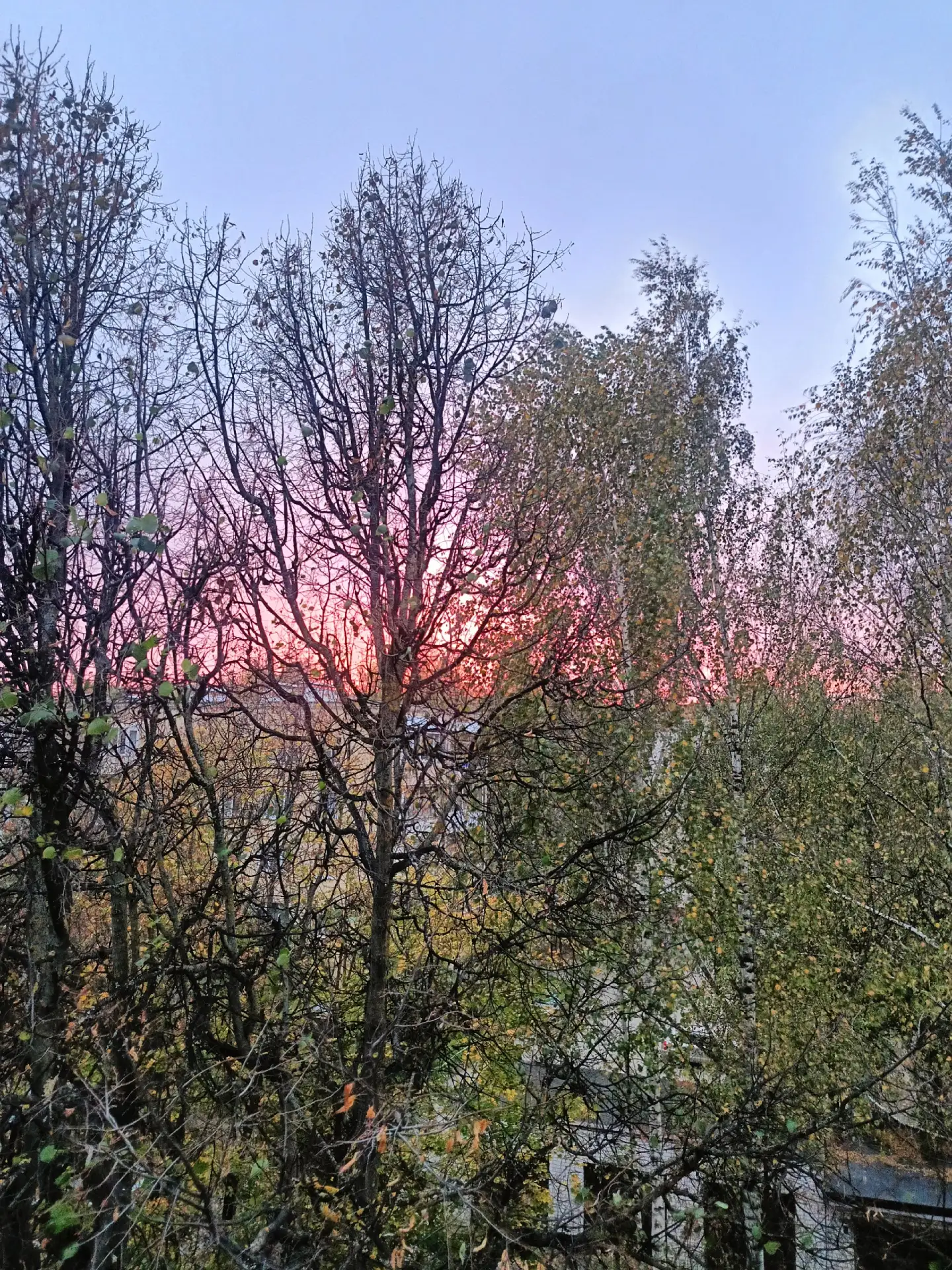 Розовый закат💥