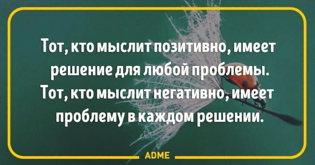 Автор: Таниелла