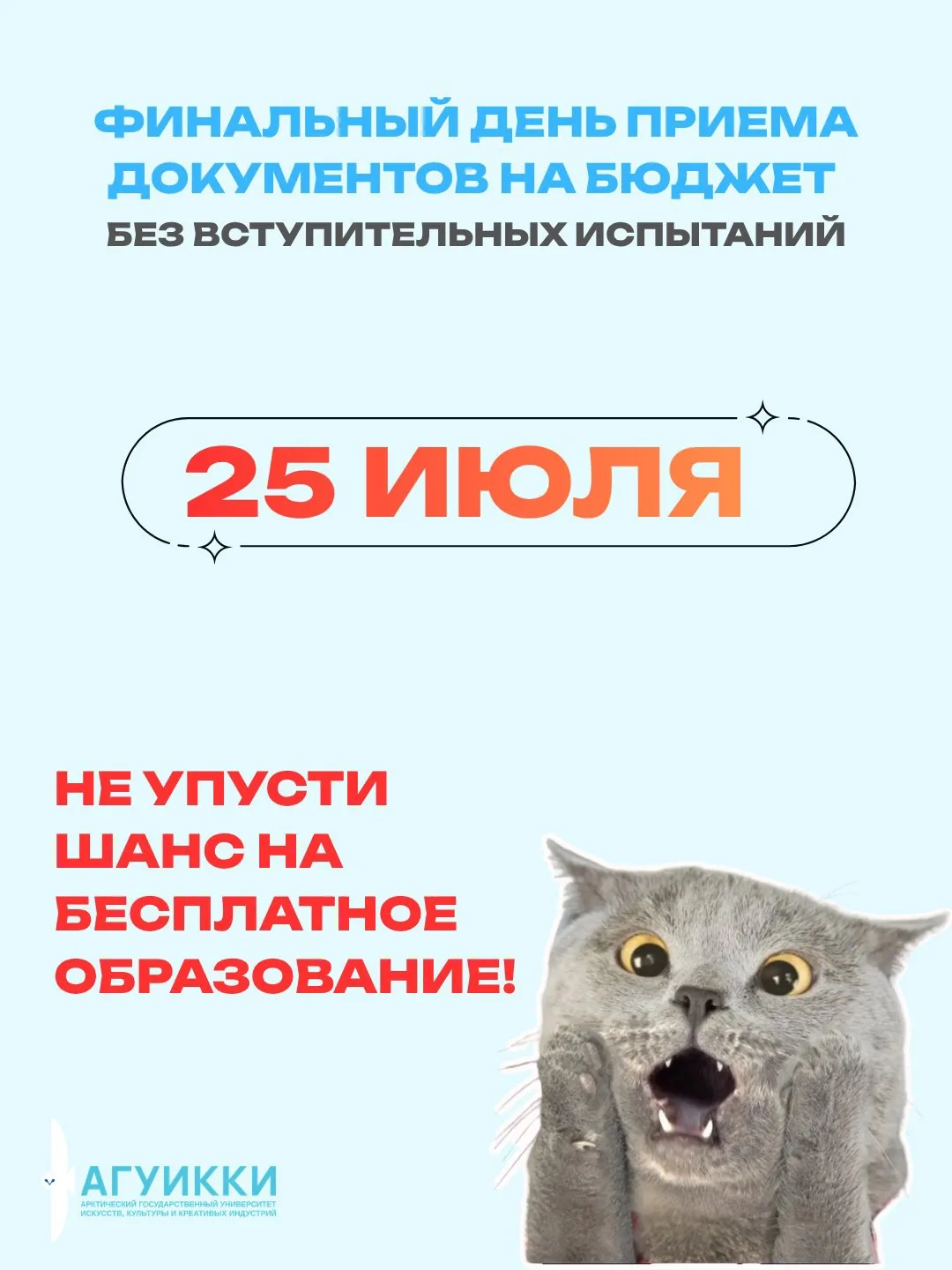 Внимание! 🚨 🚨🚨