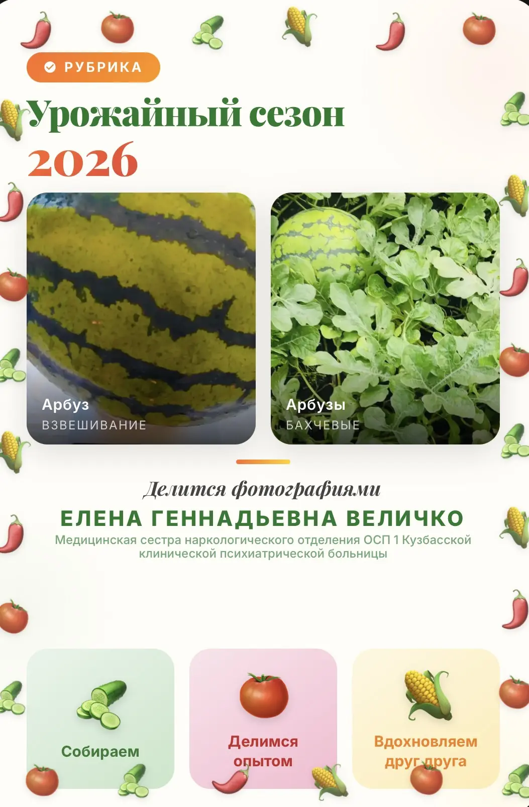 «УРОЖАЙНЫЙ СЕЗОН-2026»