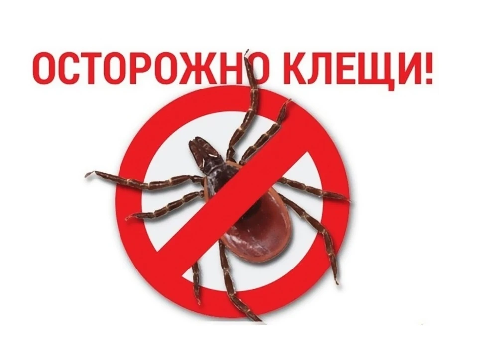 Информация об укусах клещами.
