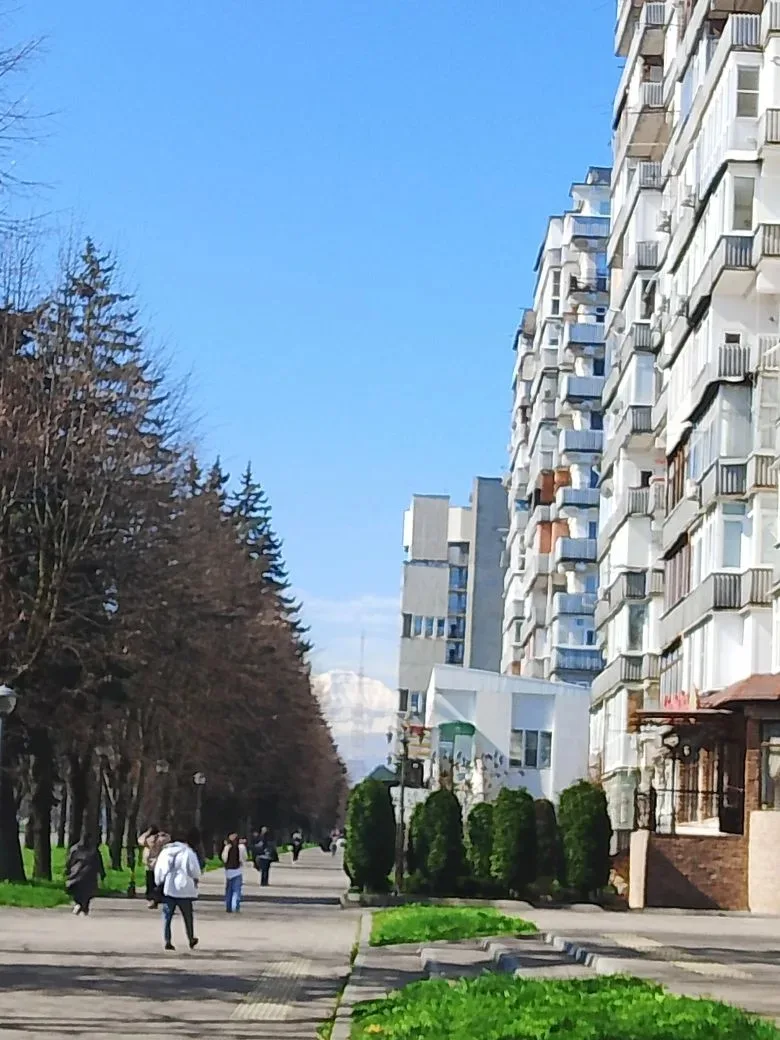 Доброе утро.