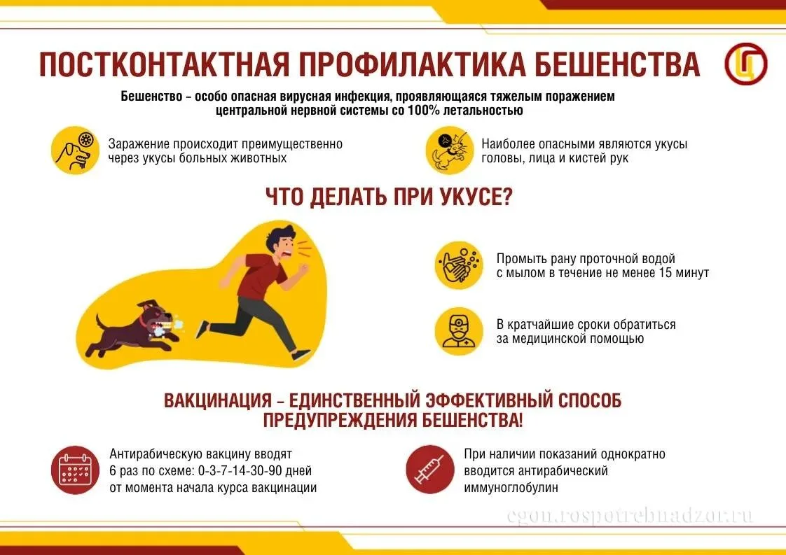 🐺Осторожно, бешенство! 

💡О бешенстве не говорят в новостях каждый день, но это не значит, что его