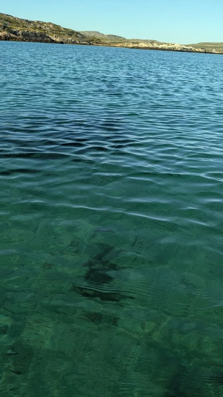 Это не Мальдивы, это бирюзовая вода Баренцева моря 🐳
