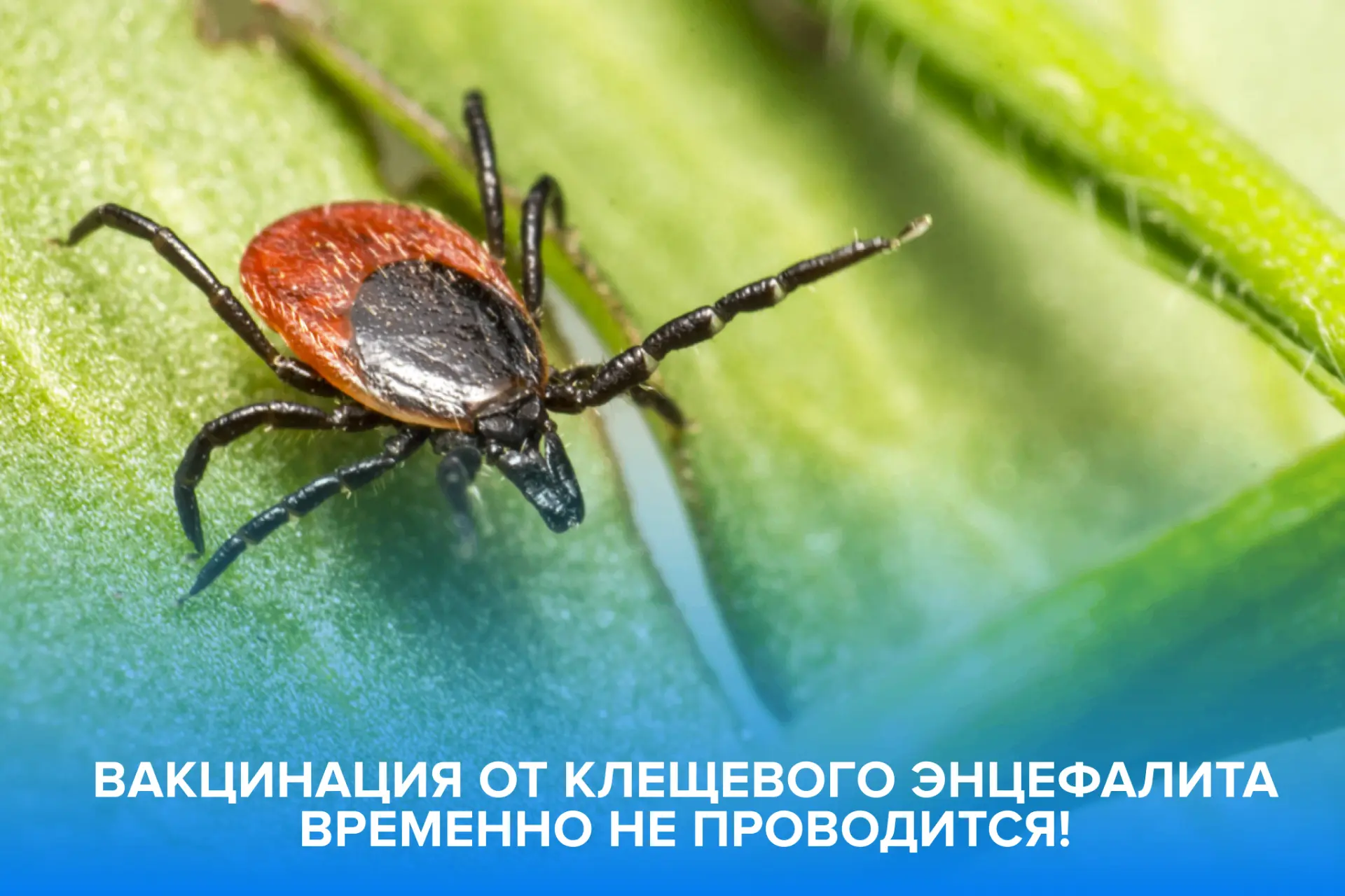 ❗️Уважаемые пациенты, обращаем Ваше внимание, что в настоящее время в поликлинике вакци...