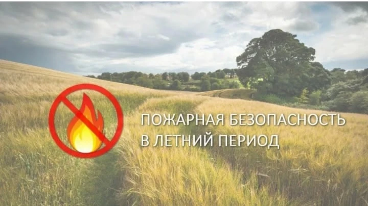 ⚠️Памятка по правилам пожарной безопасности в летний период.🧑‍🚒