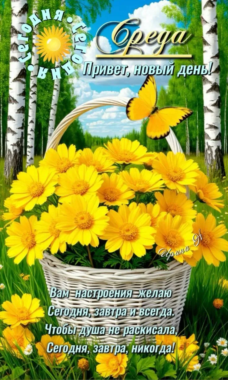 🌞🎉 Желаем бодрого утра и замечательного дня!