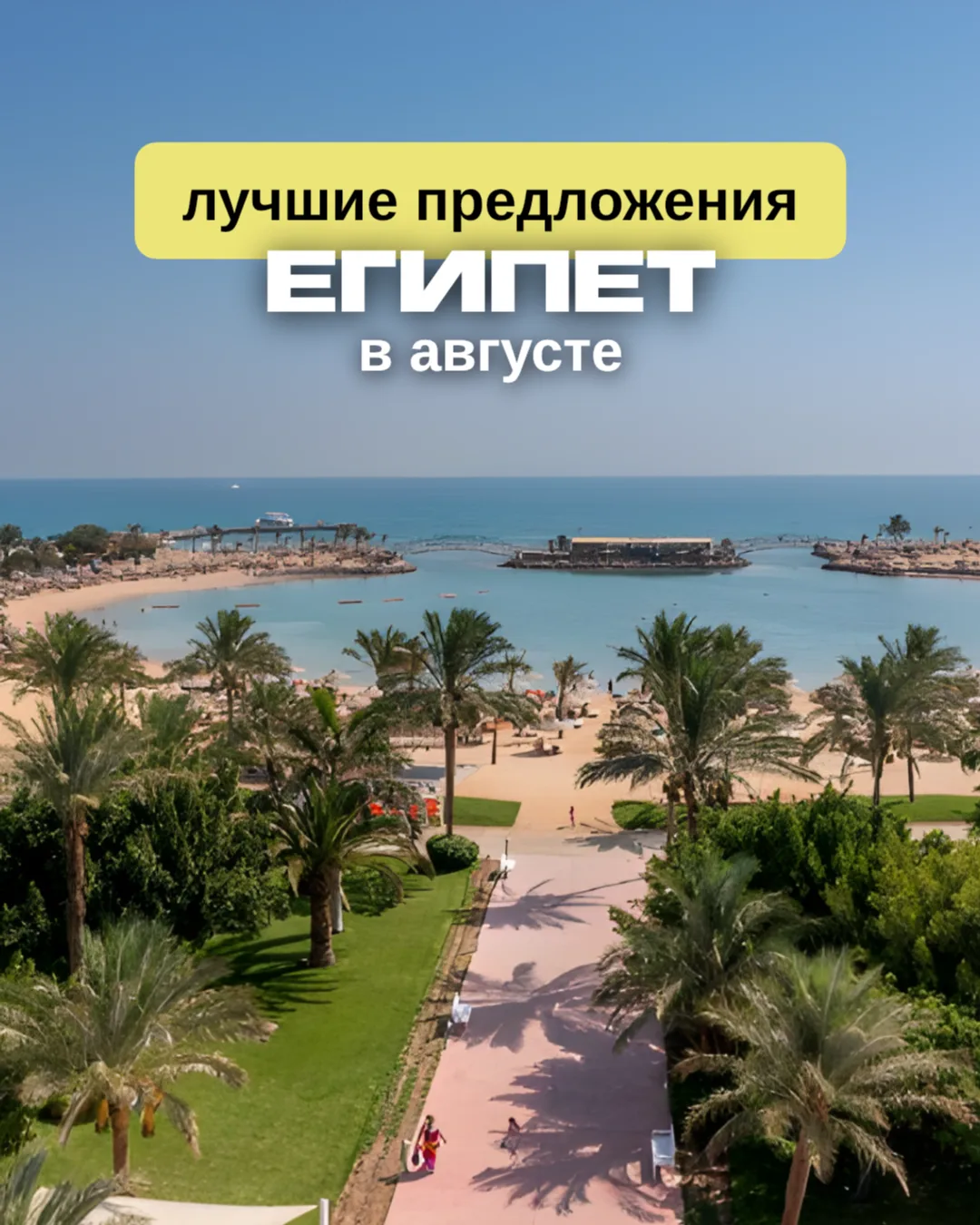 ☀️Египет в августе: самые интересные предложения 

Собрали варианты на разный бюджет: от активных от
