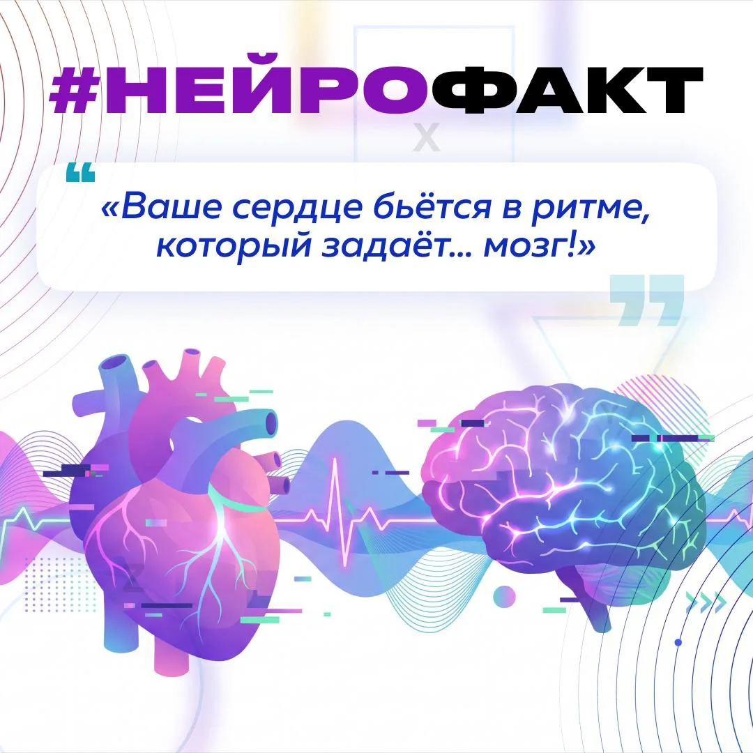 #НейроФакт: ваше сердце бьётся в ритме, который задаёт… мозг? 🧠❤️