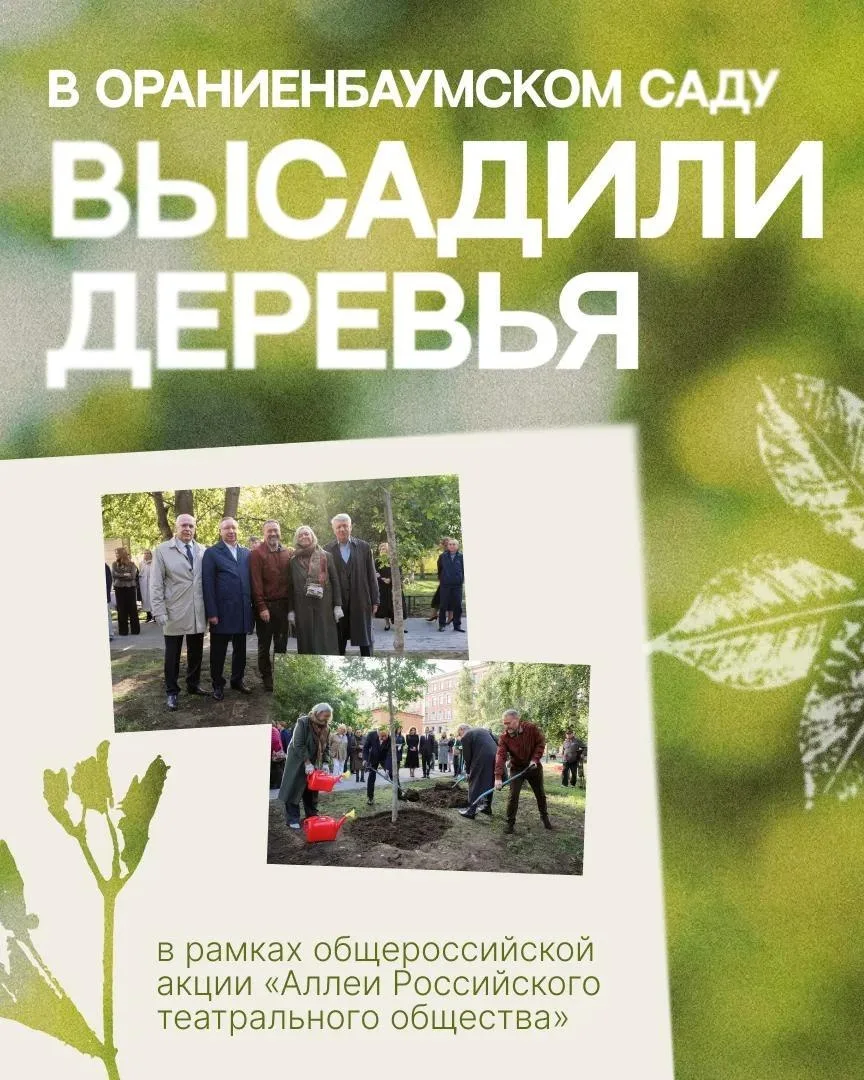 АЛЛЕИ РОССИЙСКОГО ТЕАТРАЛЬНОГО ОБЩЕСТВА: В Ораниенбаумском саду высадили деревья