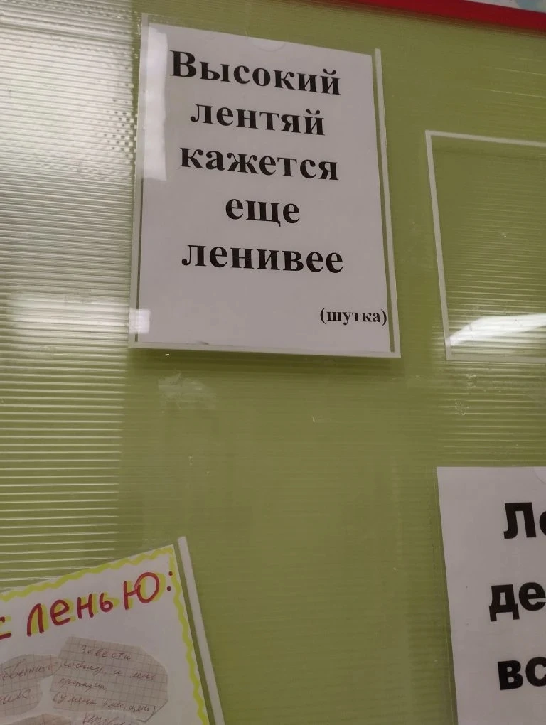 Все мы иногда ленимся, и это нормально!🦥  Но лень не должна становиться образом жизни, ведь бездейст