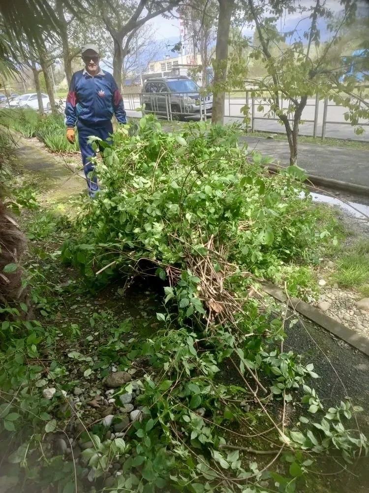 🌿✨ Работы по благоустройству территорий продолжаются! На обслуживаемых территориях активно ведутся м