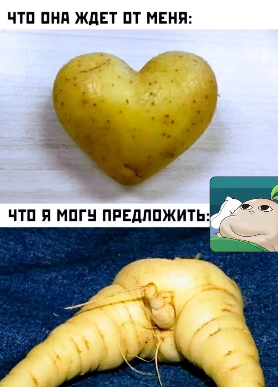 МЕМАСНАЯ