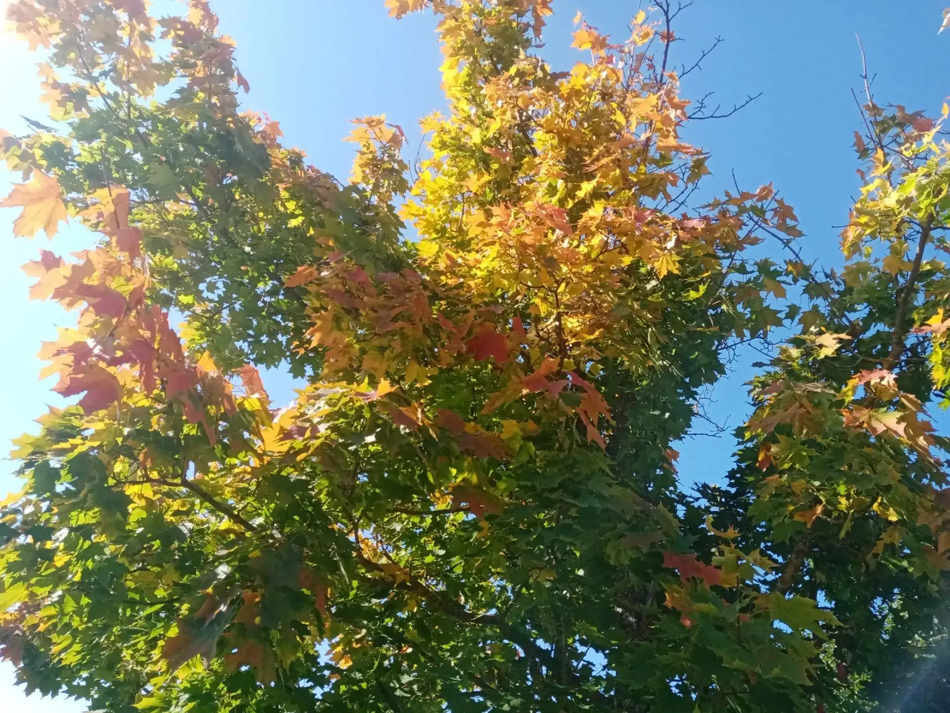 🍂На пороге октябрь. Что нам подарил сентябрь?🍁