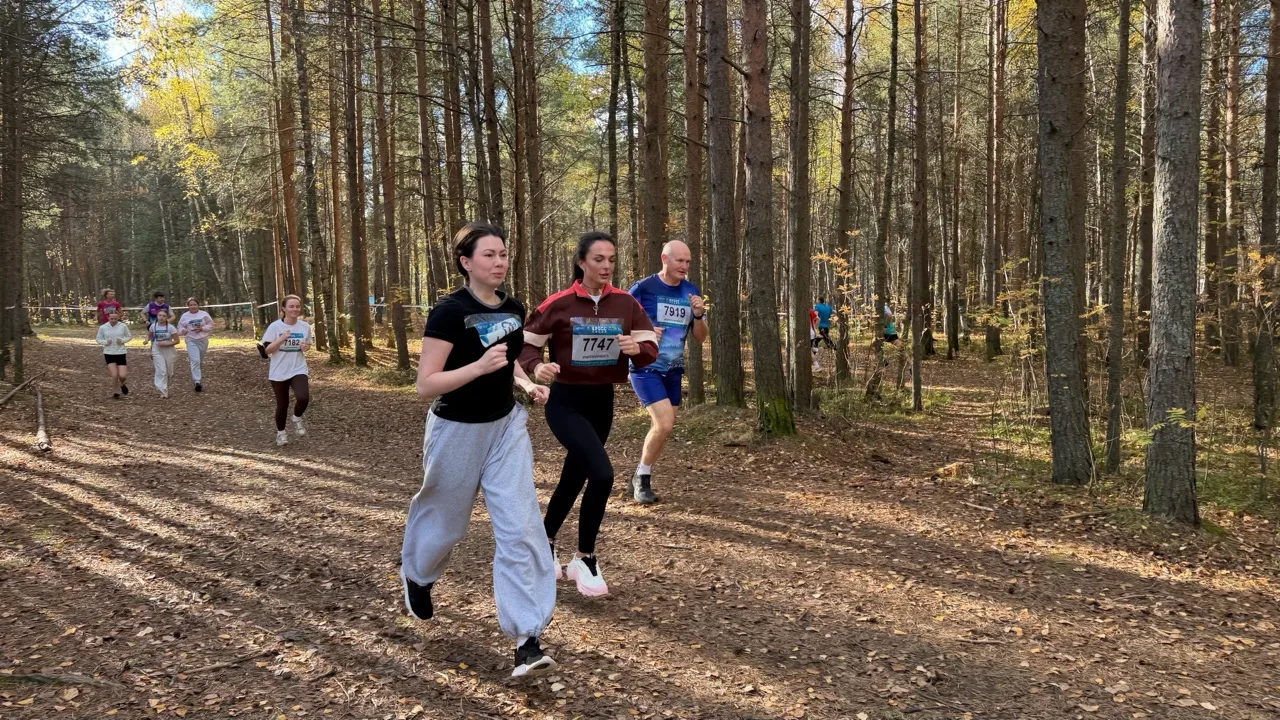Кросс нации: когда дистанция сближает🏃