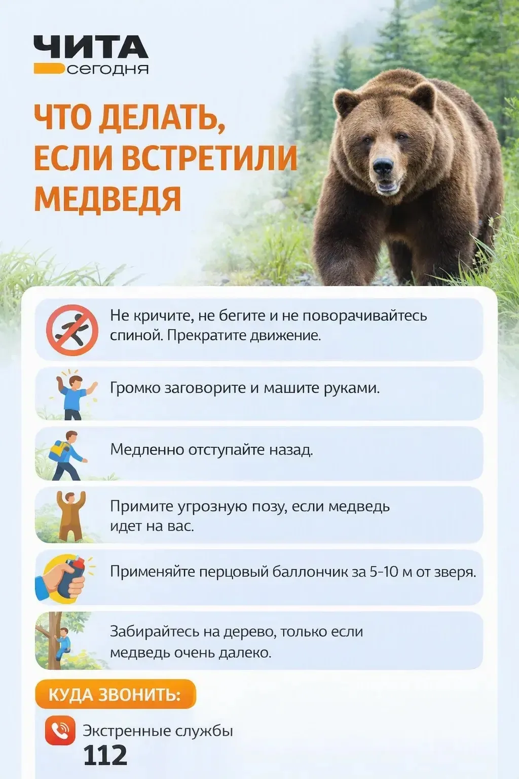 Осторожно, медведи: в Алханае закрыли маршруты