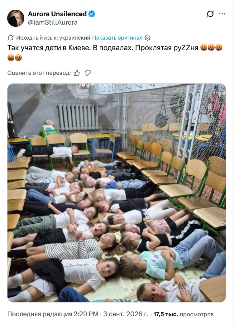 Я хочу спросить, а чему они учатся?