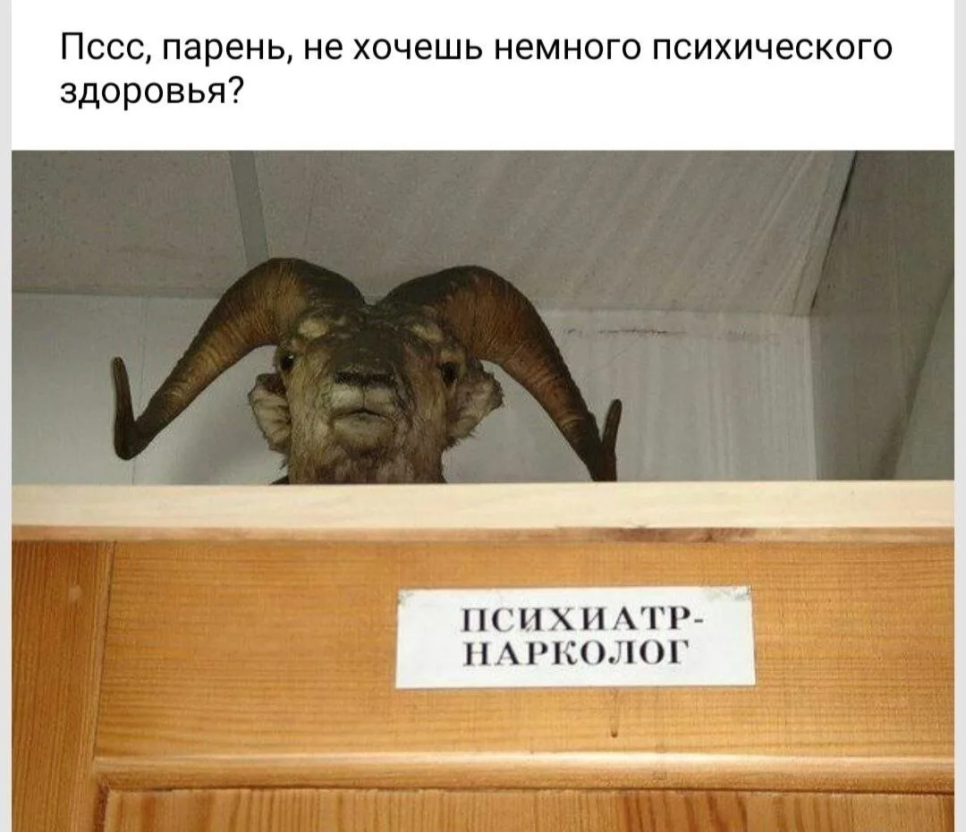 Один смех | в MAX