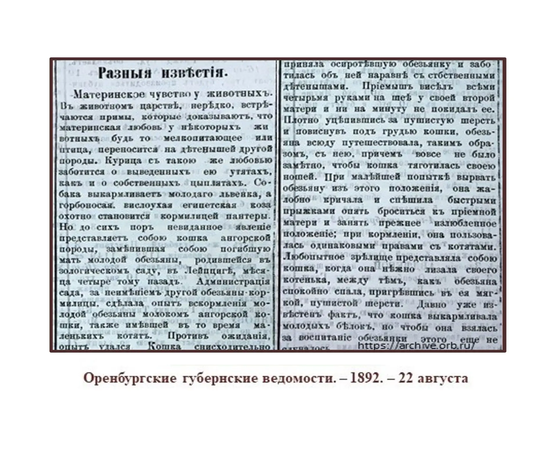 ЛИСТАЯ СТАРЫЕ ПОДШИВКИ