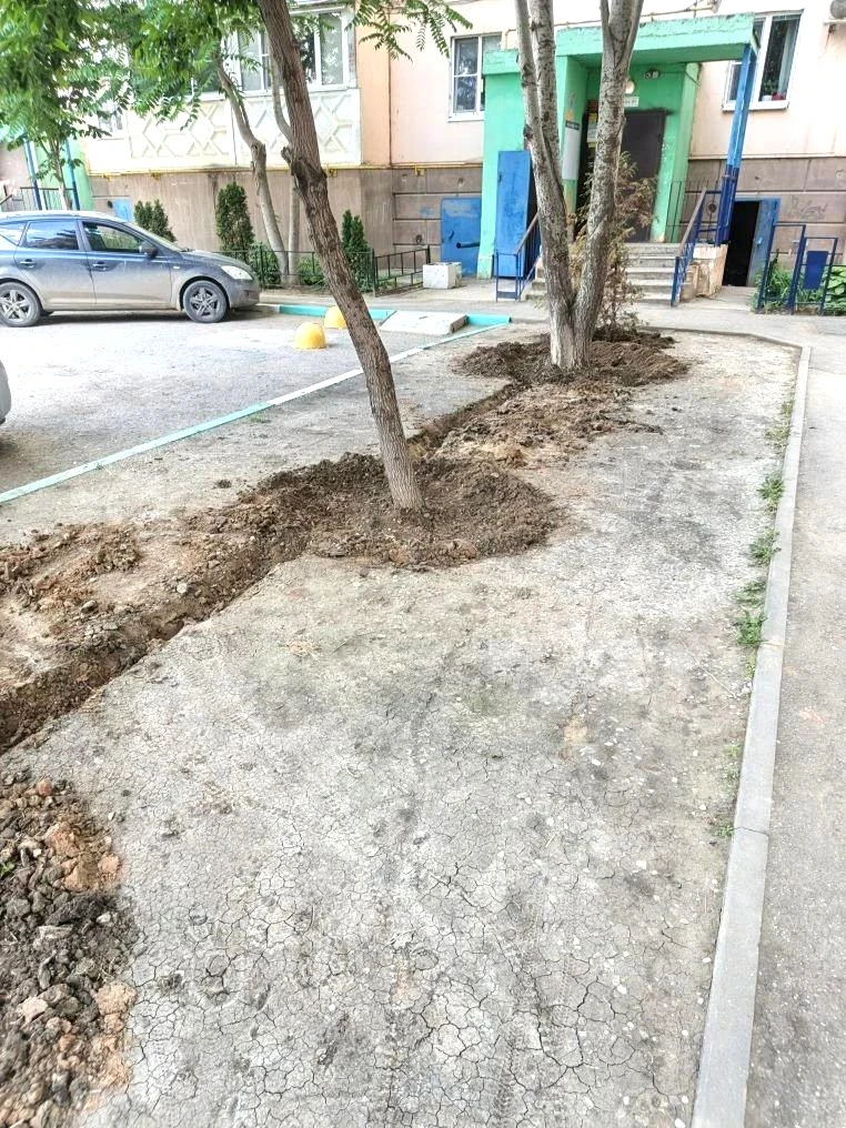 К новости «🌳 Сохраняем красоту и свежесть зеленых насаждений!»