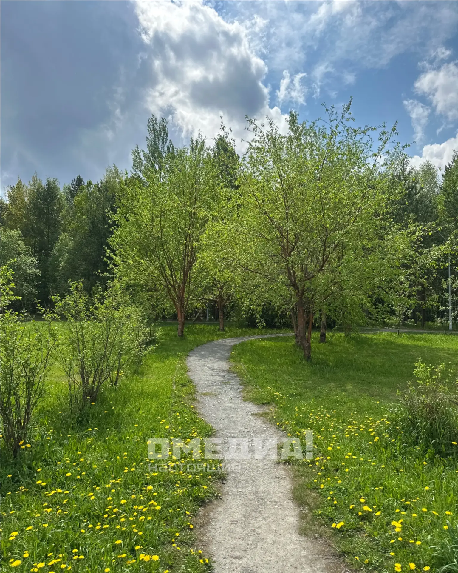 Сургут балует отличной погодой 😍