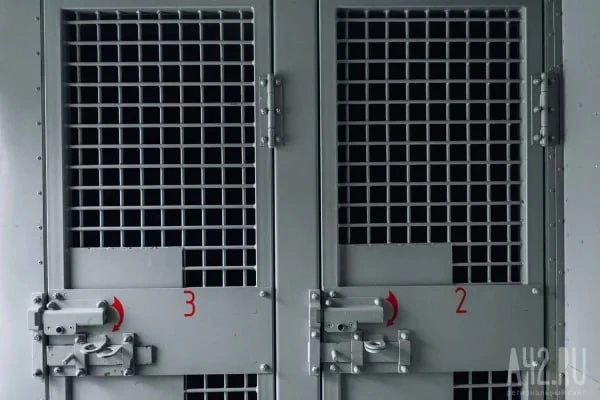 В Новокузнецке арестован похититель 5-летнего мальчика