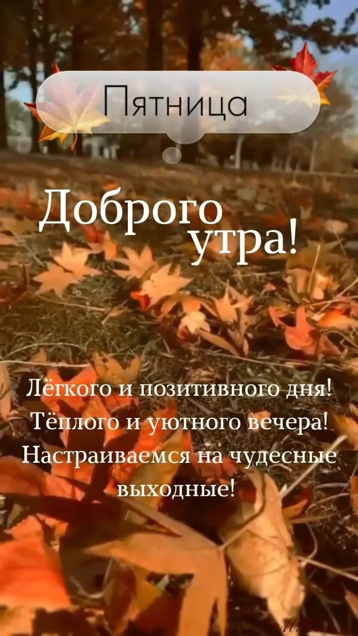 🔆 Хорошего дня!