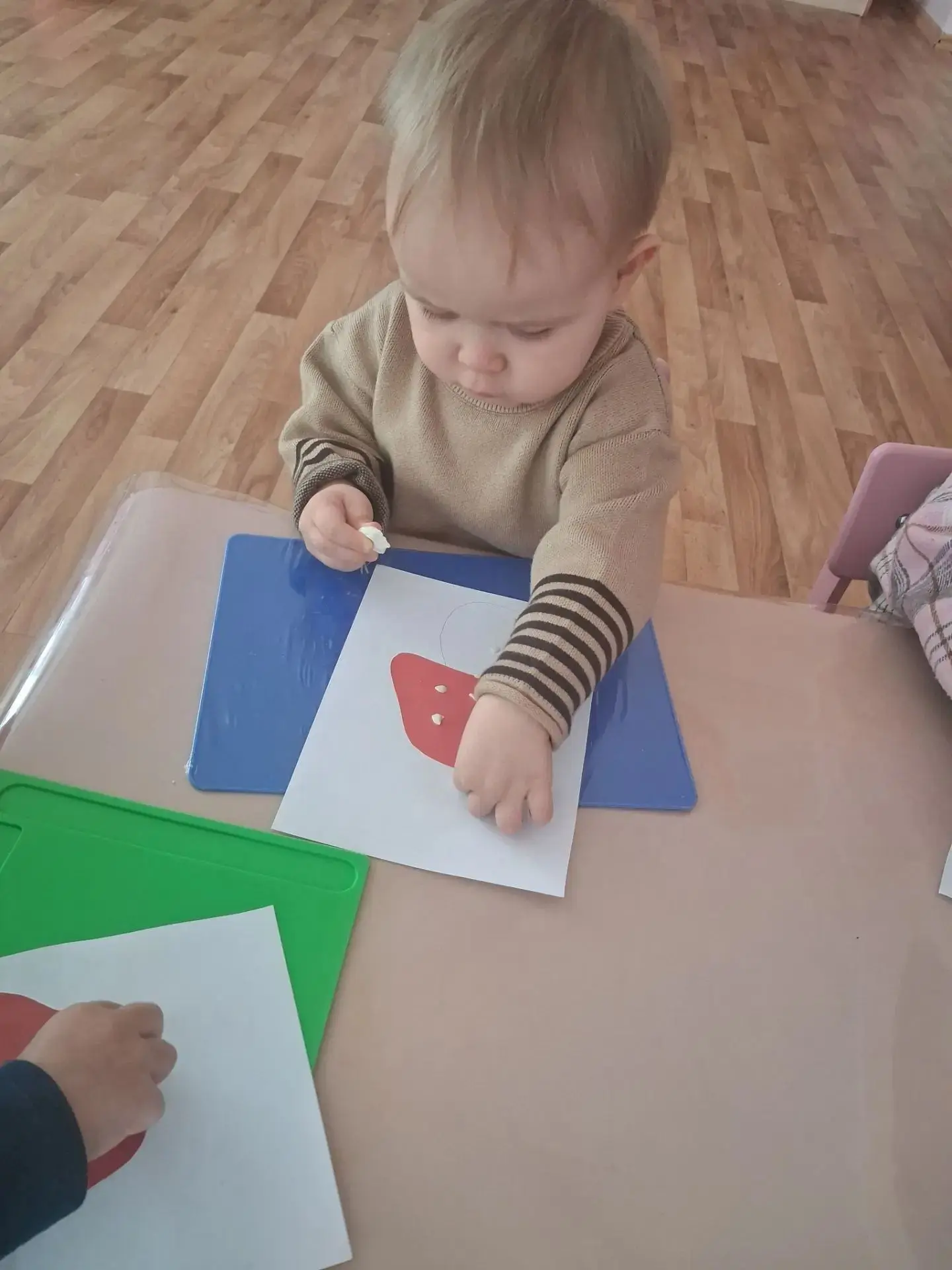 👶👶👶 Малыши группы «Лапушки» узнали много интересного о грибах! 🍄