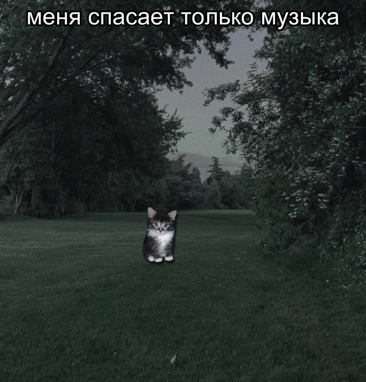 Макан