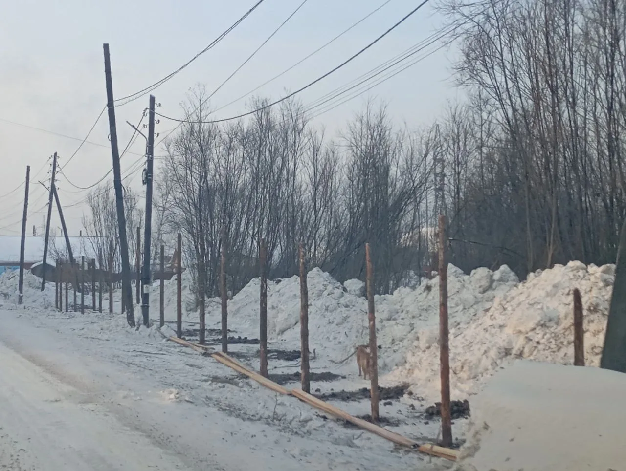 В Енисейске начали строить бассейн
