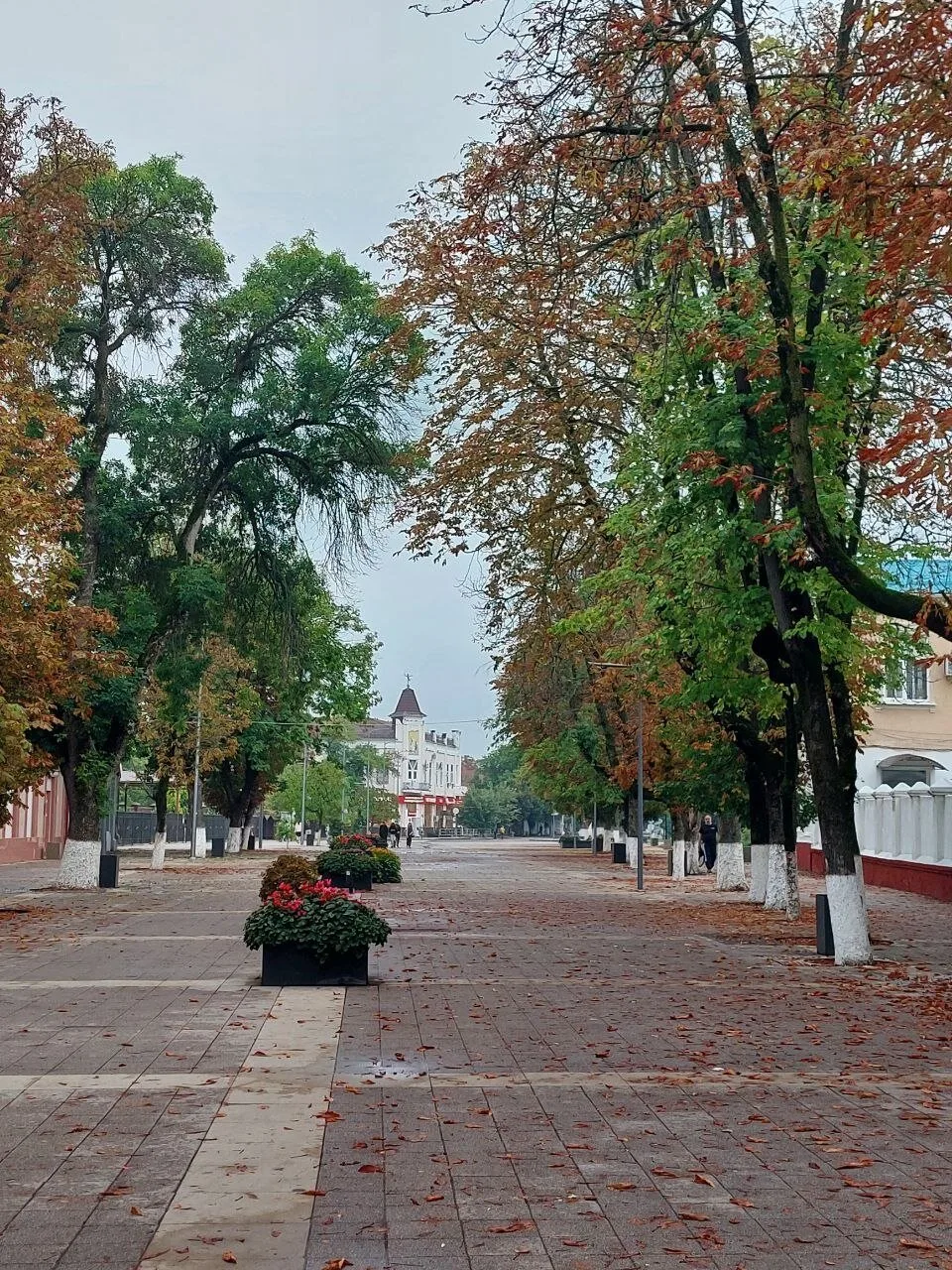 Доброе утро, друзья!