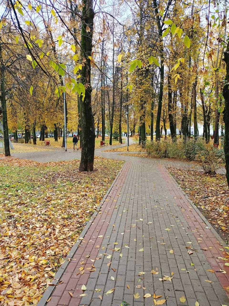 Всех с началом чудесной осенней поры 🍁