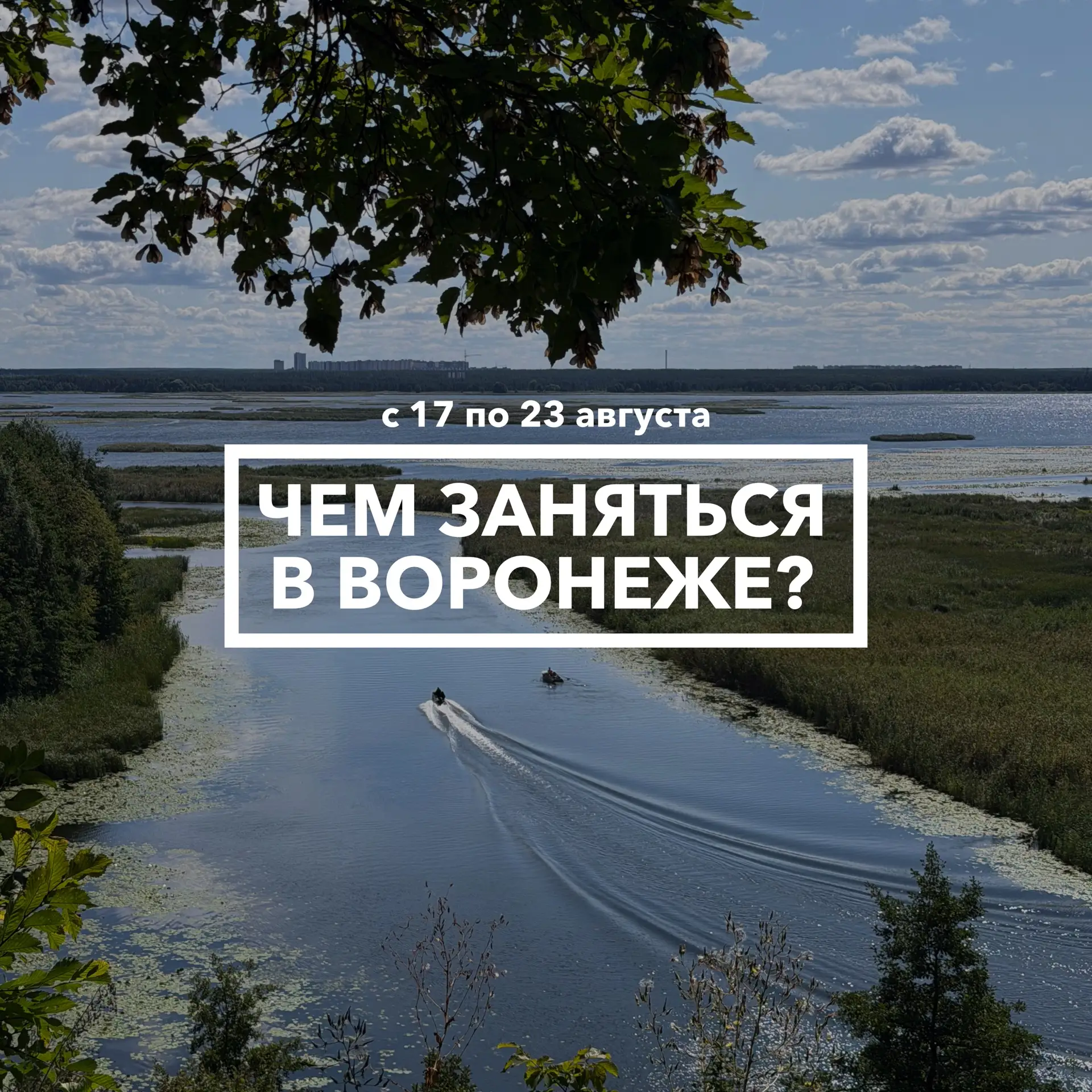 Дайджест событий в Воронеже с 17 по 23 августа🚶🏼