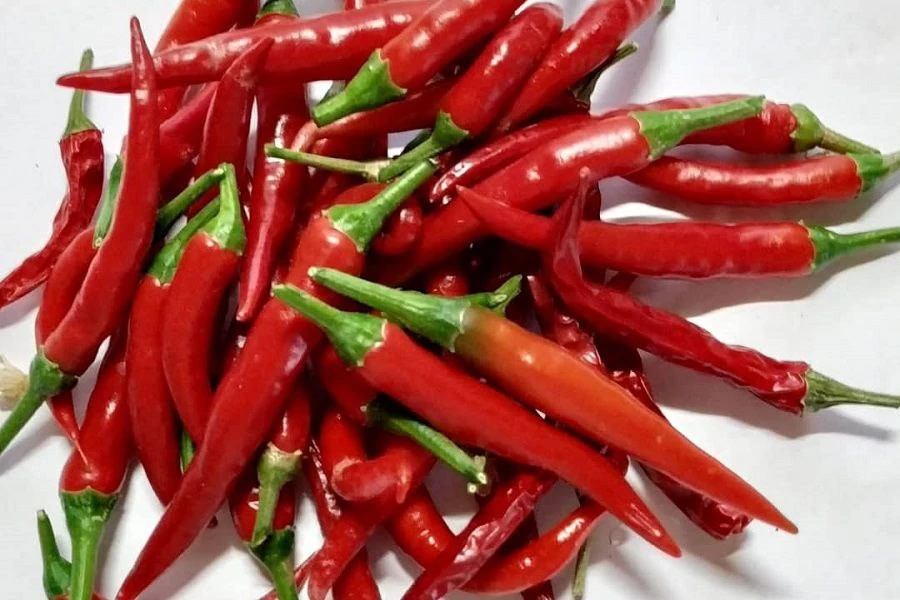 🌶️ Семена и обрезки жгучего перца – это очень полезная вещь, а не мусор, ведь их можно...