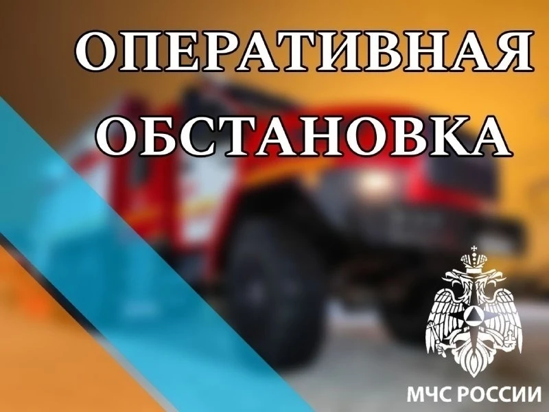 С 01 января по 18 марта 2026 года в Татарском муниципальном округе Новосибирской област...