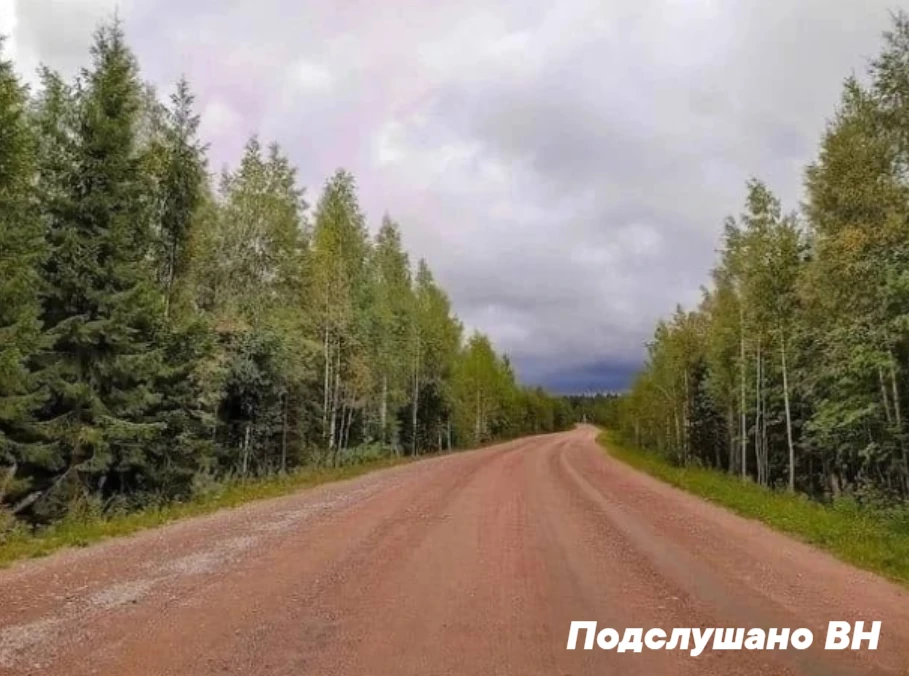 🚧20 июня в Батецком округе временно перекроют региональные дороги

В эту субботу, 20 июня, на терри
