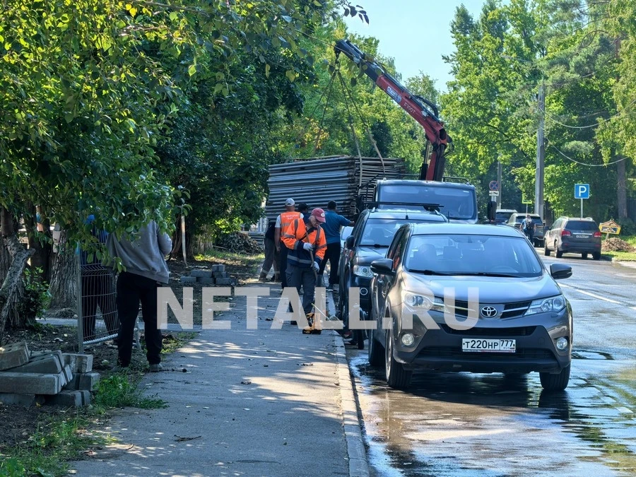 Меньше песка, смотровая площадка и катамаран в кустах. Обзор благоустройства Черного озера