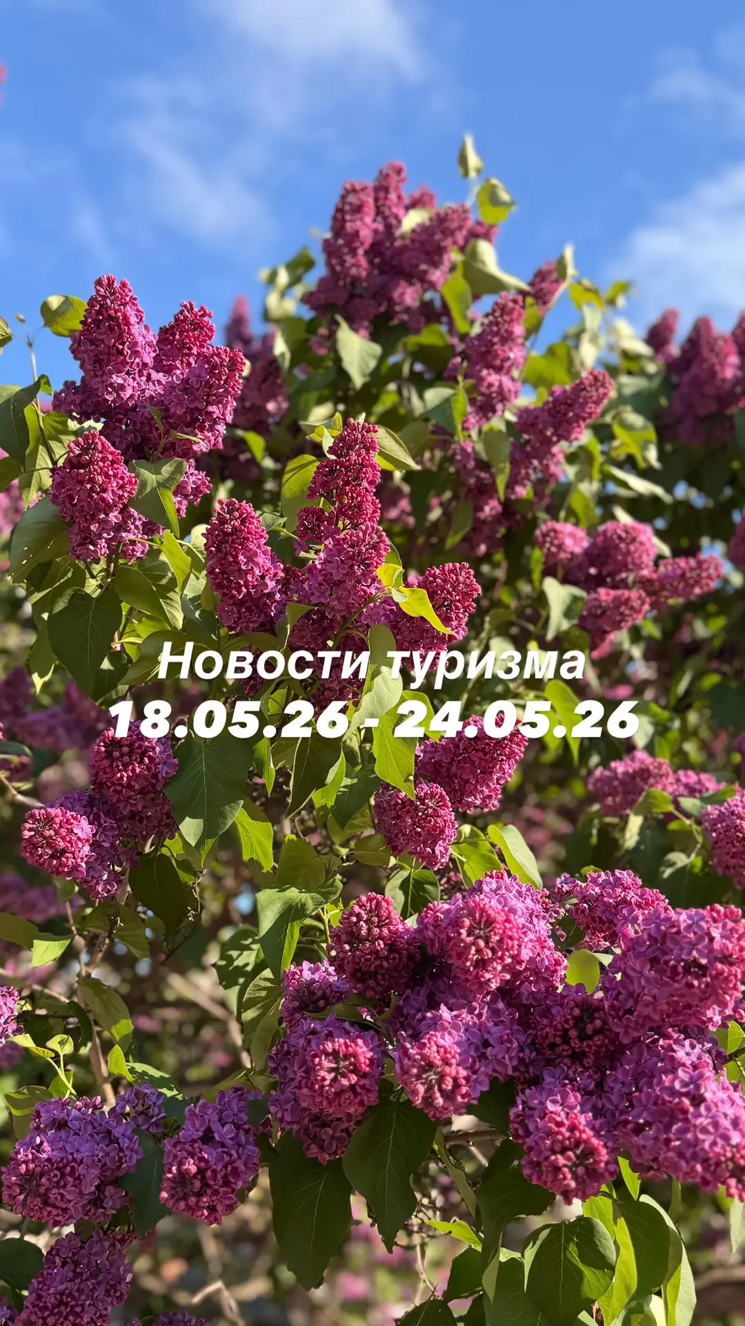 Рассказываю, что произошло в мире туризма за неделю: