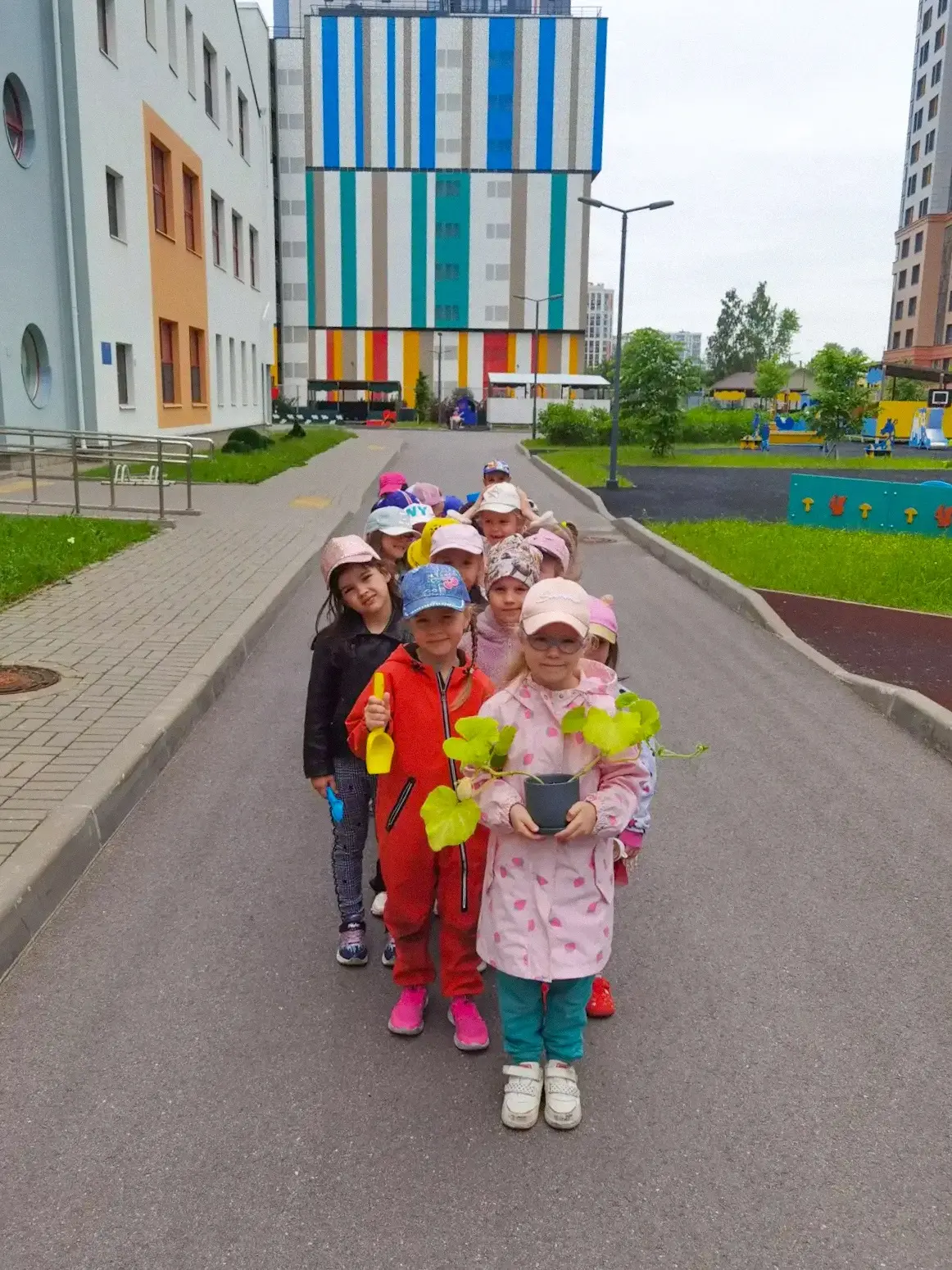 Светлячки проверяли рассаду, а также посадили тыкву 🌱
