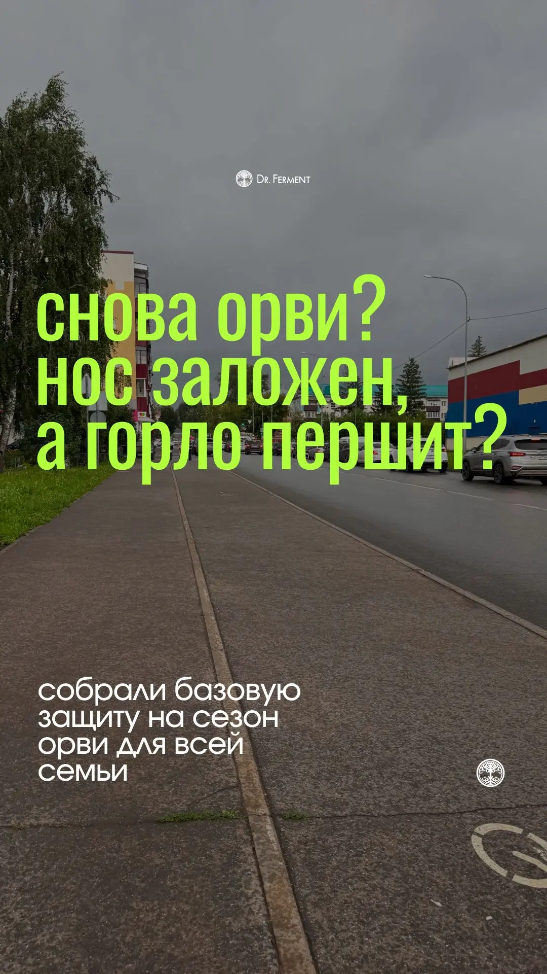 Собрали БАЗОВУЮ ФИТОАПТЕЧКУ в сезон ОРВИ, от профилактики до быстрого восстановления ды...