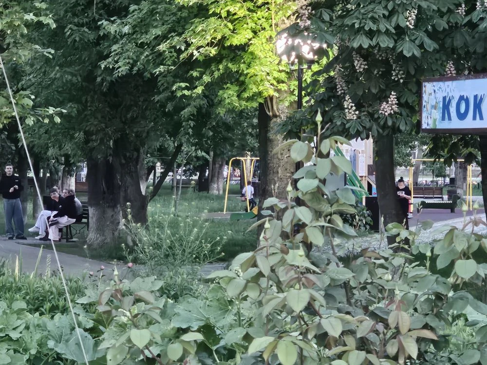 Тихий вечер в станице  Теплый майский вечер опустился на наш райцентр. В центральном парке возле Дом