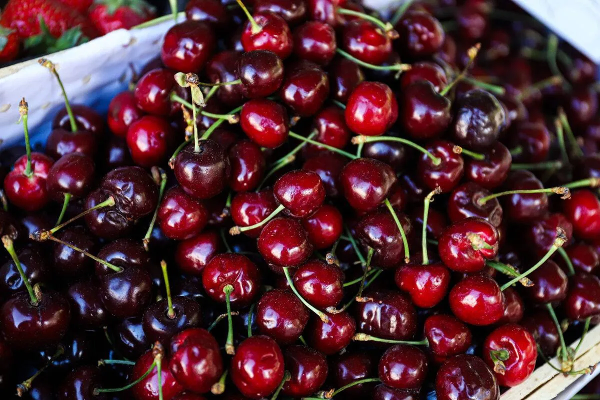 🍒 Черешня становится «роскошью»: в начале лета спрос на эту ягоду в России упал на 8–15%. Причина о