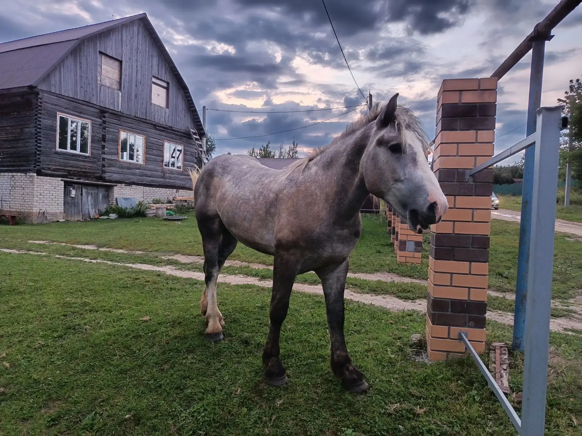 🐎17 августа в деревне Тимошево прошёл очередной рейд по выявлению фактов безнадзорного...