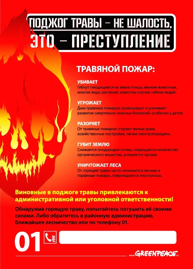 🚨 ПОДЖОГ ТРАВЫ — ЭТО НЕ ШАЛОСТЬ, А ПРЕСТУПЛЕНИЕ!