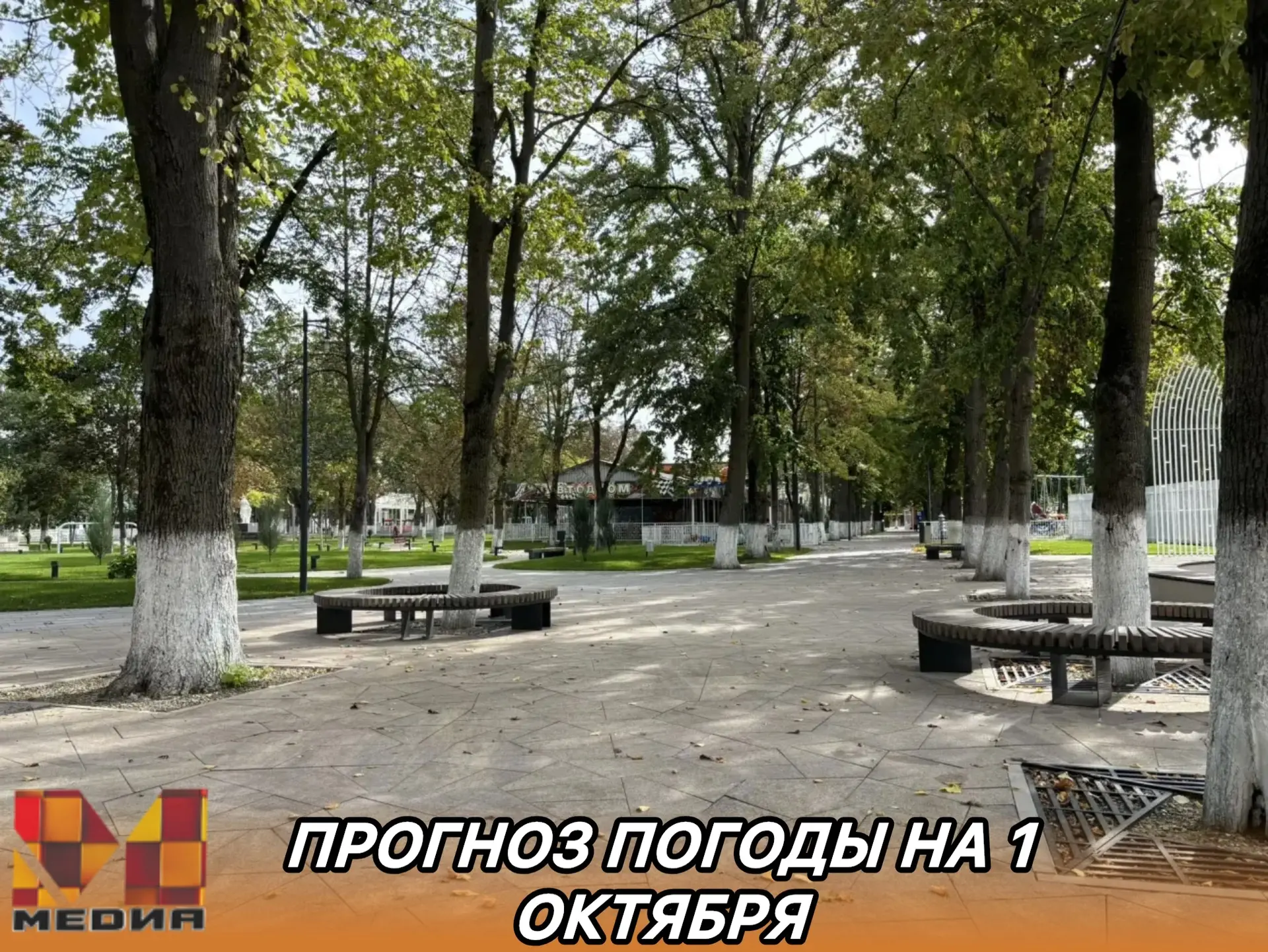 Доброе утро, друзья!