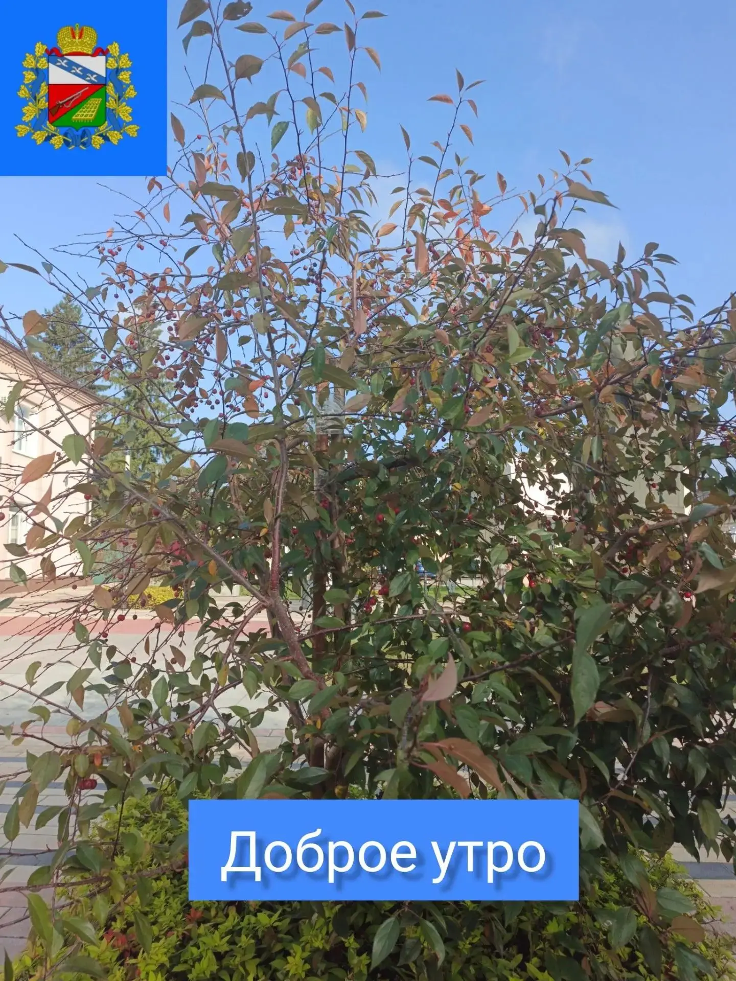🍂ДОБРОЕ УТРО