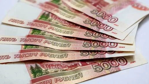 Налоговые органы Новосибирской области пересчитали транспортный и земельный налоги учас...
